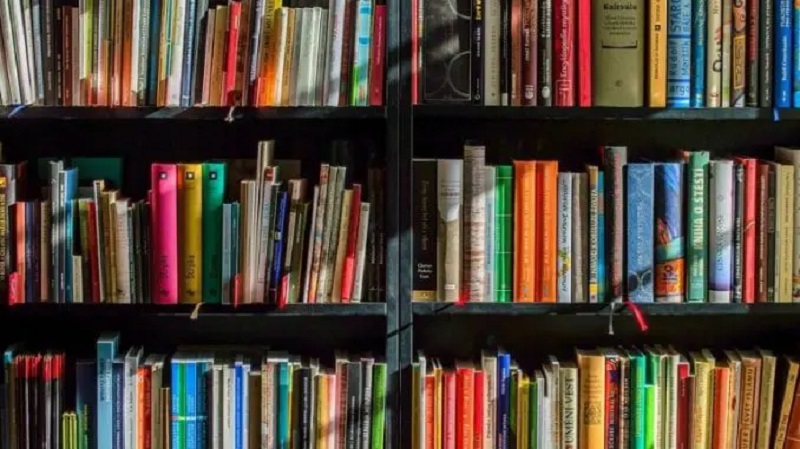 ŠTA ČITATI U vreme održavanja Sajma knjiga dobro je podsetiti se nekoliko predloga lepe i korisne literature