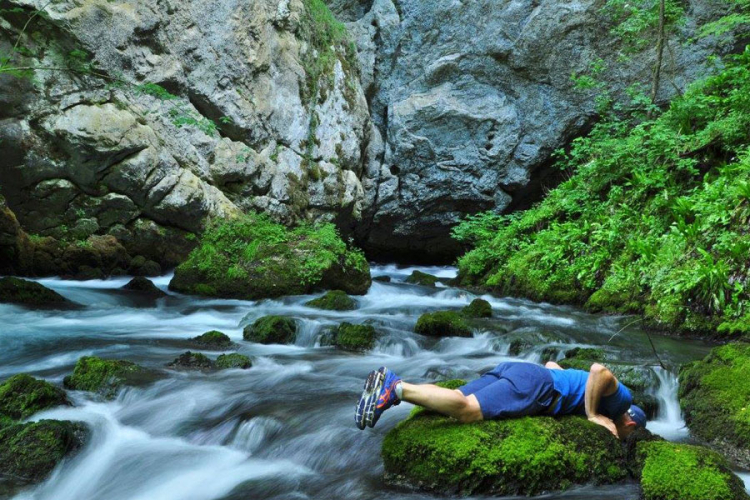 KRUG UŽARENE TRAVE OKO IZVORA:  Na Vilinim vodama kod Rekovca bolesni ozdrave i saznaju budućnost
