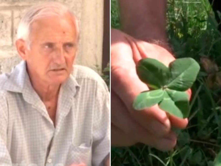 DRAGAN IZ SURDULICE JE NAŠAO 2.000 DETELINA SA ČETIRI LISTA: Sprema poseban poklon za Đokovića i ima samo 1 želju!