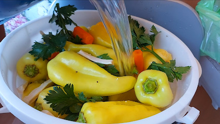 ŠTA JE USTVARI TURŠIJA Zimnica ali u koju ide tačno ovo povrće, evo i pravog recepta