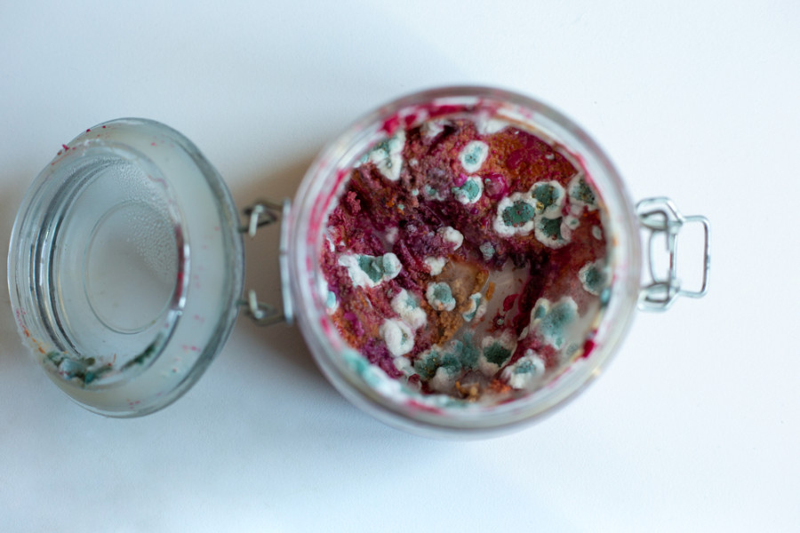 NIJE SVAKA ZIMNICA ZDRAVA, MOŽETE SE I OTROVATI Lekari upozoravaju na šta posebno da obratite pažnju