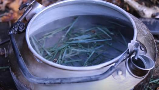 ČAJ OD JEDNE BILJKE ZA VAŠE PEŠKIRE Pogledajte kakva će čuda učiniti, bićete prezadovoljni