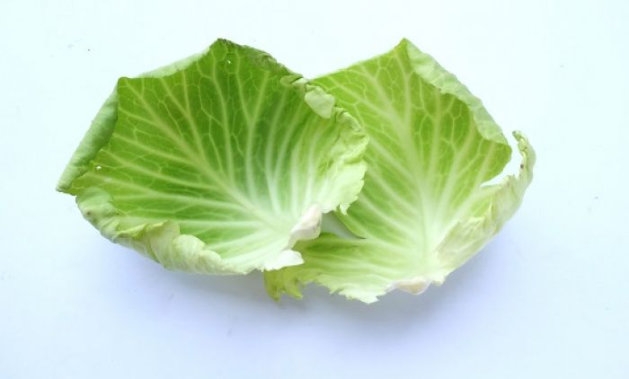 KAKO ODABRATI NAJBOLJI KUPUS Pripremite sve za najlepše sarme i podvarak ove zime