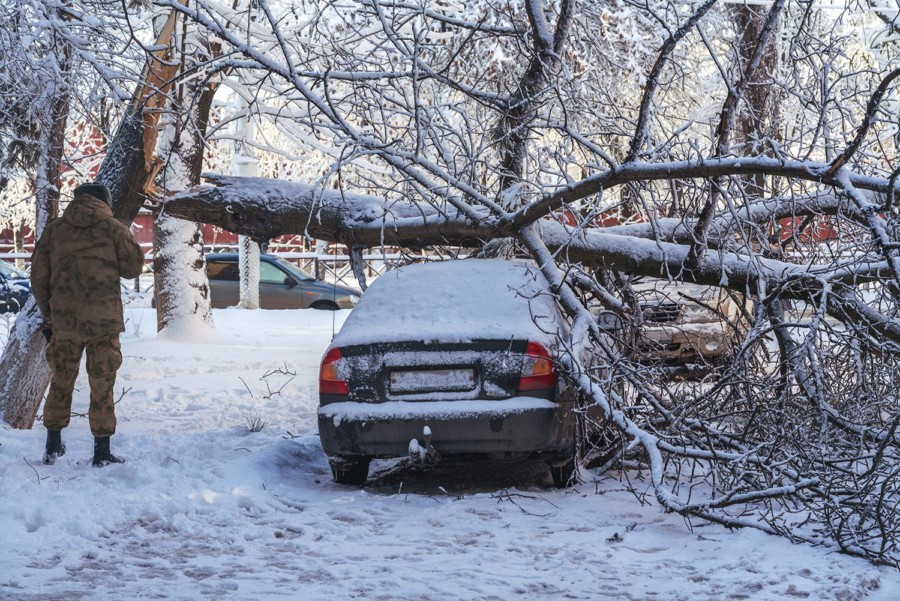PROCEDURE KOJE TREBA DA ZNATE AKO VAM PADNE DRVO NA AUTOMOBIL! Sve opcije za naplatu štete