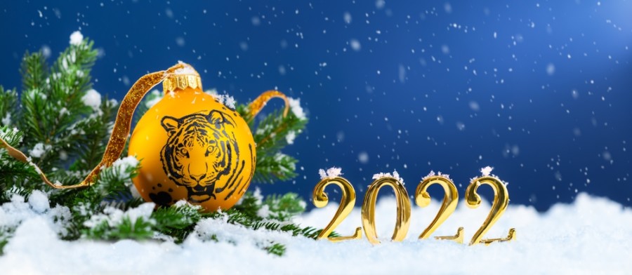 VELIKI GODIŠNJI HOROSKOP: Proverite šta čeka vaš znak u narednom periodu!