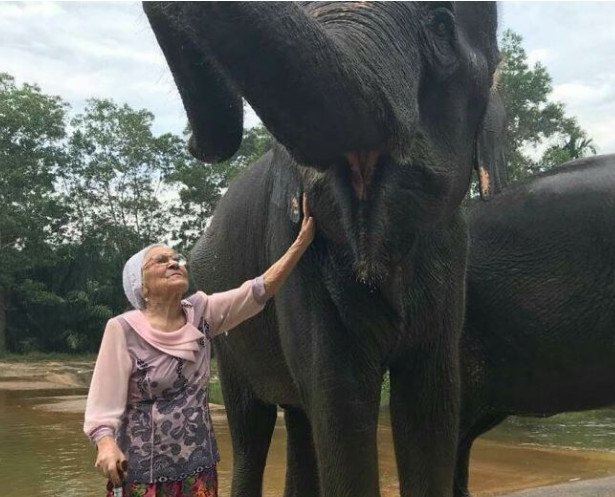 ŽIVETI PUNIM PLUĆIMA: Baka koja je u 83. godini sama proputovala svet!(FOTO)