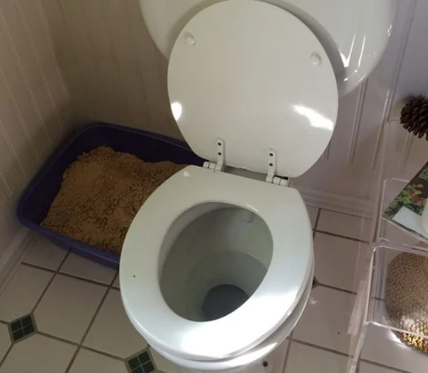 STRES ZAPUŠENOG TOALETA! 3 načina da sami rešite problem