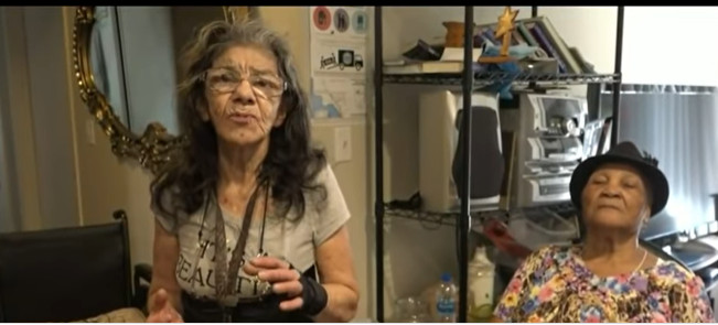 ZOVU JE "LEJDI NINDŽA"! Starija gospođa"protresla" je provalnika!