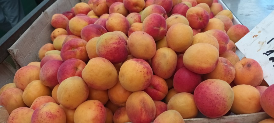 AKO PRIMETITE OVO NA KAJSIJAMA, ODMAH IH BACITE: Jedne su pune vitaminima, druge loše!