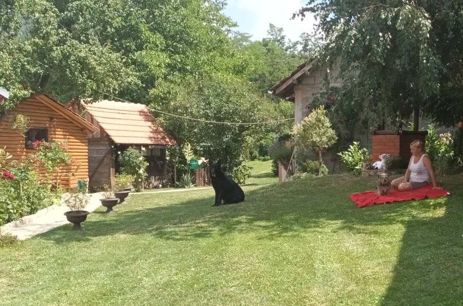 DA LI ĆE VAUČERI VREDETI 10.000 DINARA Udruženje „Moja Srbija” poslalo vladi predlog da podela počne 1. februara i to 250.000 vaučera za subvencionisani odmor