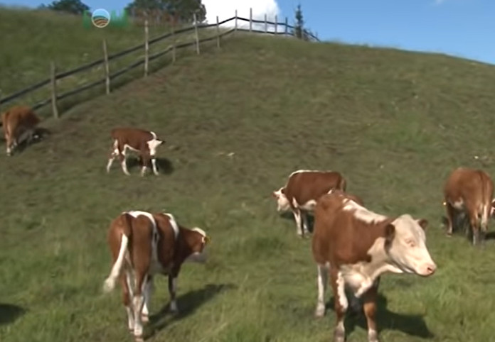 U TEKSASU RAZMATRAJU ZABRANU  Neće da prodaju zemlju građanima Kine, Irana, Severne Koreje i Rusije