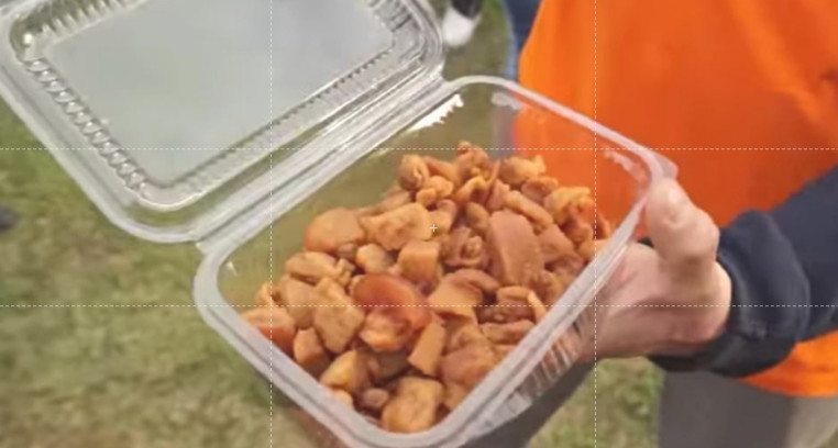 NAPRAVITE POSNE ČVARKE Ne zaostaju za originalom, a prave se lako i brzo