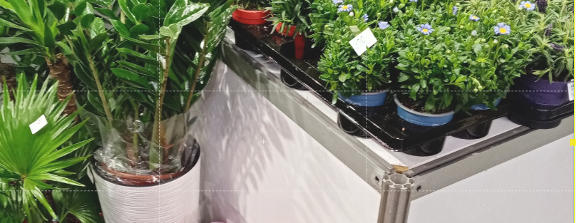 DVE LEPE MANIFESTACIJE POČINJU SUTRA Posetite sajmove nautike, lova i ribolova i hortikulture