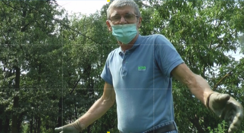 AMBROZIJA HARA Koncentracija alergenog polena i dalje iznad graničnih vrednosti, evo kada će biti lakše