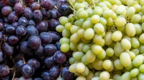 Crno ili belo grožđe – jedna vrsta ima važnu prednost, a mnogi to ne znaju