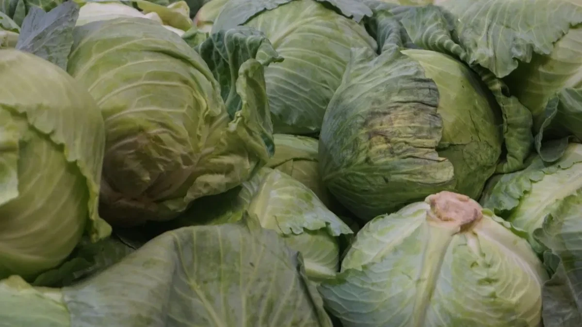 Iskusne domaćice znaju recept - evo kada se stavlja i kako dobija savršen kiseli kupus