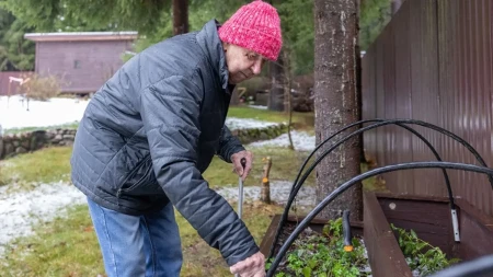 Ne čekajte prvi mraz - jedan potez može da spase vaše omiljene biljke tokom zime