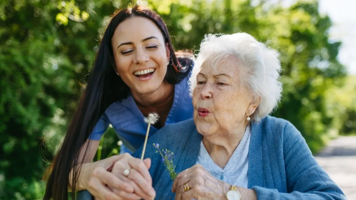 Skromna biljka koja svuda raste - nekada je bila u svakoj kućnoj apoteci...