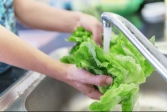 Zelena ili matovilac?  Ova salata nosi sve vitamine i minerale u jednom zalogaju