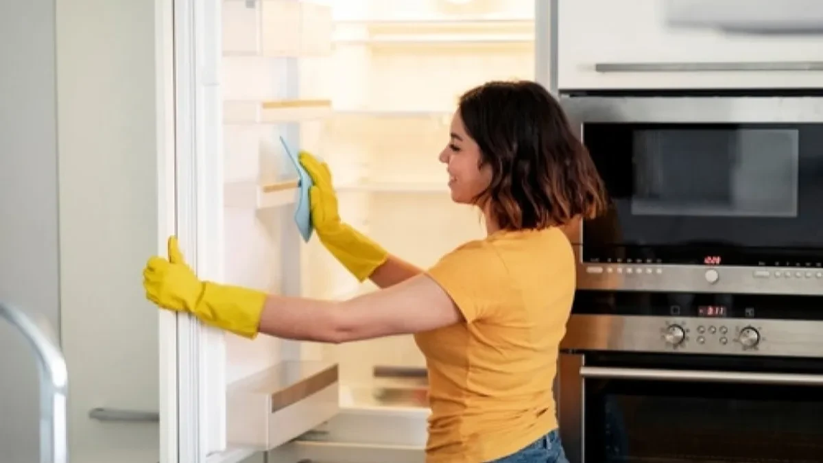 Evo šta se dešava sa frižiderom ako se ne čisti redovno