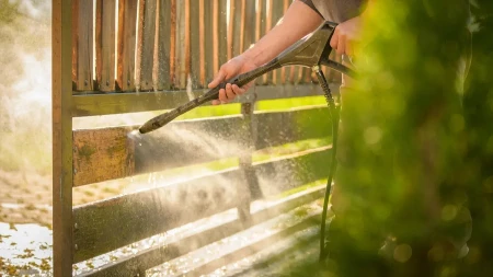 Očistite drvenu ogradu za deset minuta - rešite se algi i mahovine 