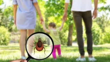 Kako izvaditi krpelja bez pincete i panike - pospite ga jednim sastojkom iz kuhinje i sam će otpasti za 20 minuta