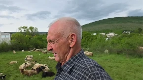 Zaradio je penziju u Nemačkoj - sad čuva ovce i koze u rodnoj Hercegovini 