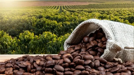 Talog kafe pomaže biljkama da bujaju – ne bacajte ga, ali pazite na jednu stvar