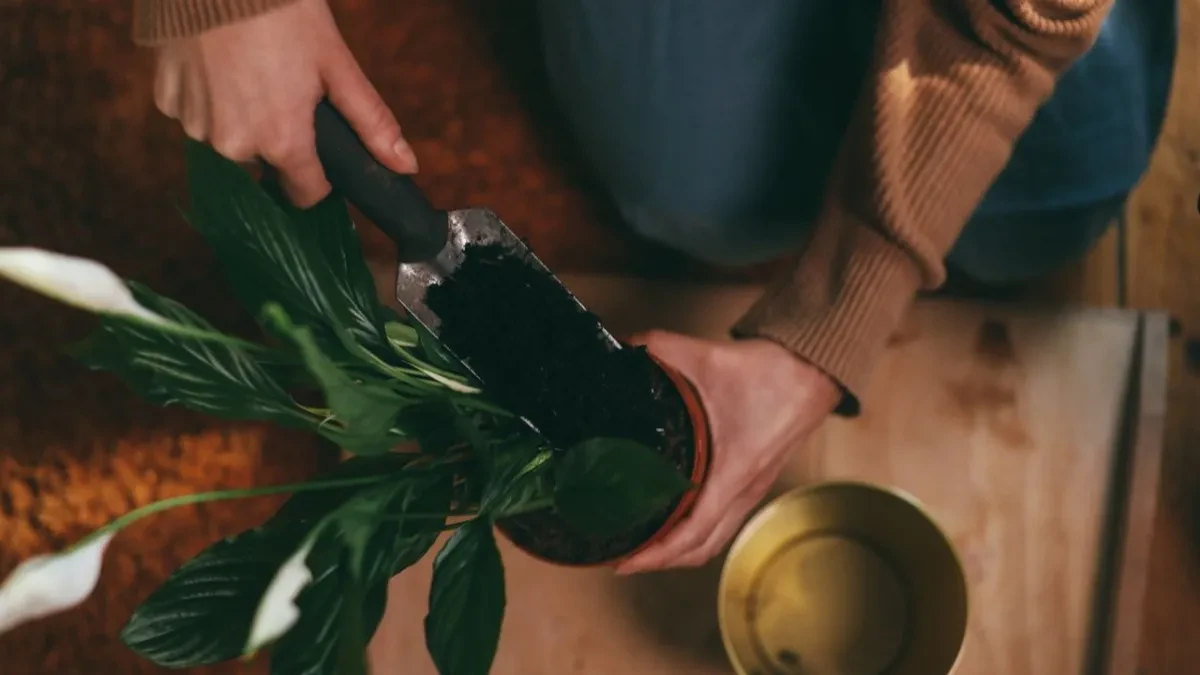Stari kompost nije otpad - kako da ga vratite u život i iskoristite za jesenje biljke