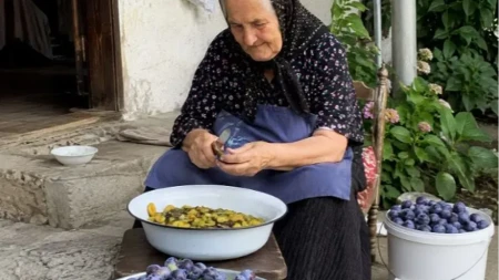 Plodovi ostaju čvrsti, sirup gust i bistar – slatko od šljiva koje se lako sprema