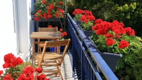 Mali balkon može postati pravi vrt – cveće menja svaki kutak