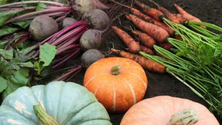 Nutricionistkinja otkriva prednosti jesenjeg povrća – bogato je vlaknima