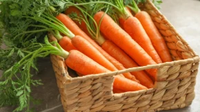 Šargarepa za bolje varenje – nutricionisti otkrivaju njen pravi uticaj