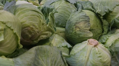 Skromna namirnica u glavnoj ulozi - kupus postao nova zvezda trpeze